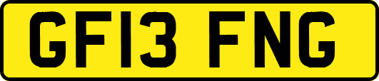 GF13FNG