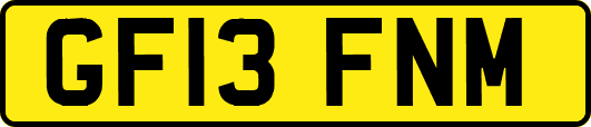 GF13FNM