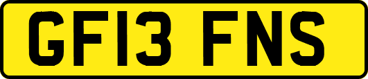 GF13FNS