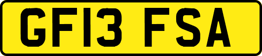 GF13FSA