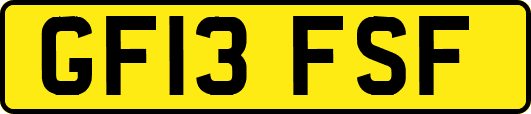 GF13FSF