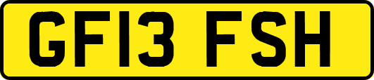 GF13FSH