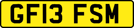 GF13FSM
