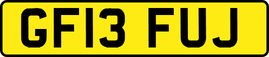 GF13FUJ