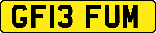 GF13FUM