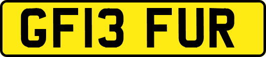 GF13FUR