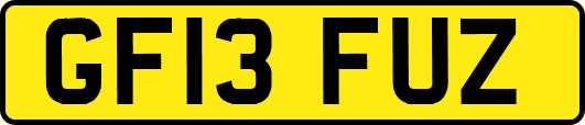 GF13FUZ