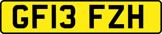 GF13FZH