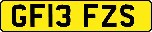GF13FZS