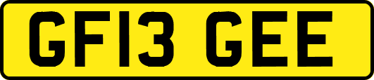 GF13GEE
