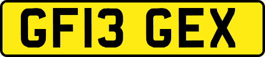 GF13GEX