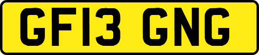 GF13GNG