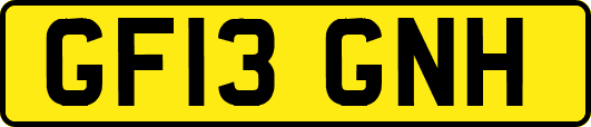GF13GNH