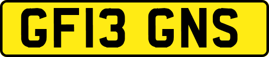 GF13GNS
