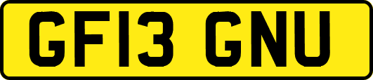 GF13GNU