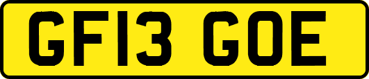 GF13GOE