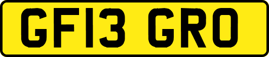 GF13GRO