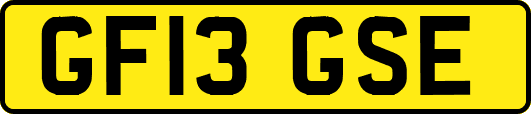 GF13GSE
