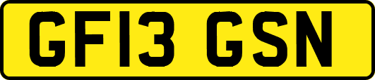 GF13GSN