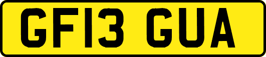 GF13GUA