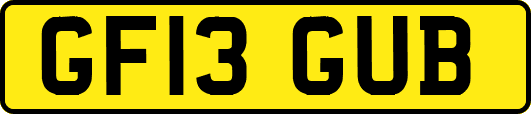 GF13GUB