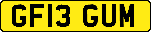 GF13GUM
