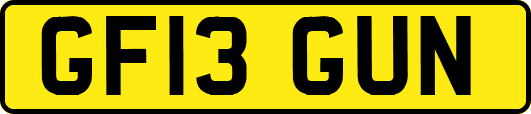 GF13GUN
