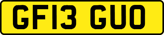GF13GUO