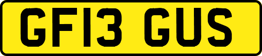GF13GUS