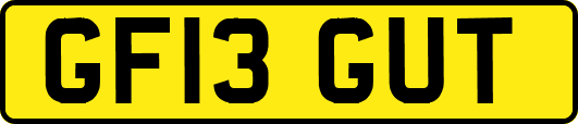 GF13GUT