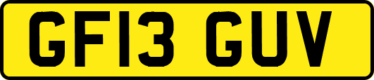 GF13GUV