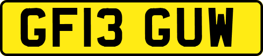 GF13GUW