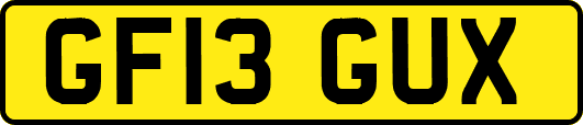 GF13GUX
