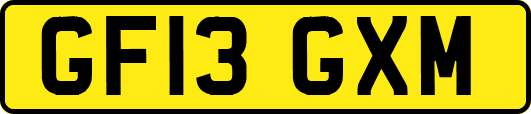 GF13GXM