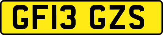 GF13GZS