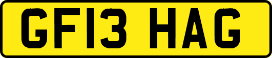 GF13HAG
