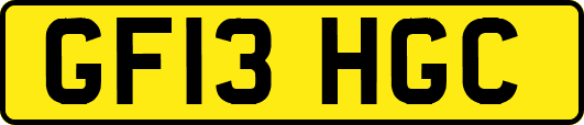 GF13HGC