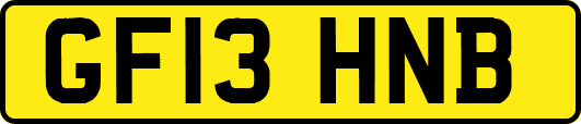 GF13HNB