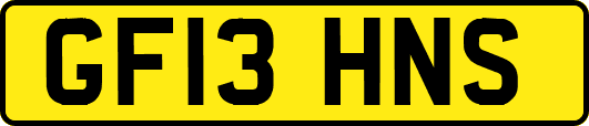 GF13HNS