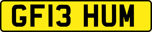 GF13HUM