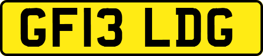 GF13LDG