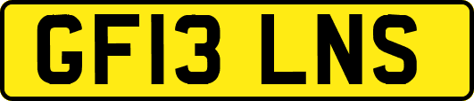 GF13LNS