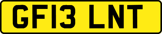 GF13LNT