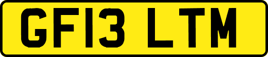 GF13LTM
