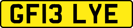 GF13LYE