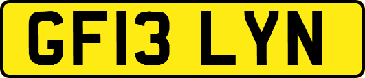 GF13LYN