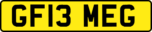 GF13MEG