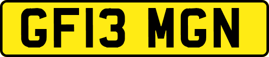 GF13MGN