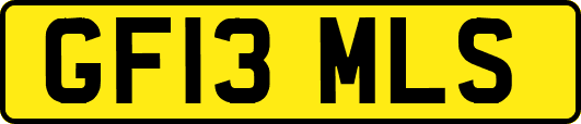 GF13MLS