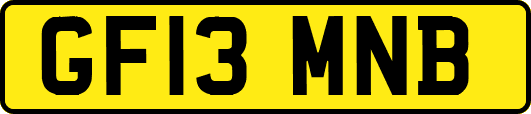 GF13MNB